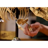 LEGO® Jurassic World™ Les fossiles de dinosaures: le Tyrannosaurus rex 76968 (9/13) LEGO® Jurassic World™ Les fossiles de dinosaures: le Tyrannosaurus rex 76968 (9/13)