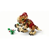LEGO® Jurassic World™ Baby Dinosaur Dolores: Aquilops 76970 (3/11) LEGO® Jurassic World™ Baby Dinosaur Dolores: Aquilops 76970 (3/11)