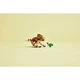 Babydinosaurier Dolores: Aquilops 76970 thumbnail-8 Babydinosaurier Dolores: Aquilops 76970 thumbnail-8