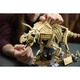 Les fossiles de dinosaure: le tricératops 77985 thumbnail-12