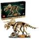Les fossiles de dinosaure: le tricératops 77985 thumbnail-0