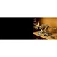 Les fossiles de dinosaure: le tricératops 77985 thumbnail-27