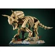 Les fossiles de dinosaure: le tricératops 77985 thumbnail-29