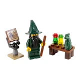 LEGO® Castle Wizard 7955 (1/1)